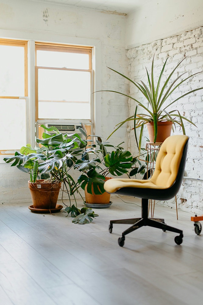 A welcoming therapy office with plants and a yellow chair